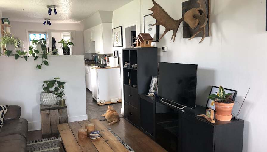 Leigh's room
