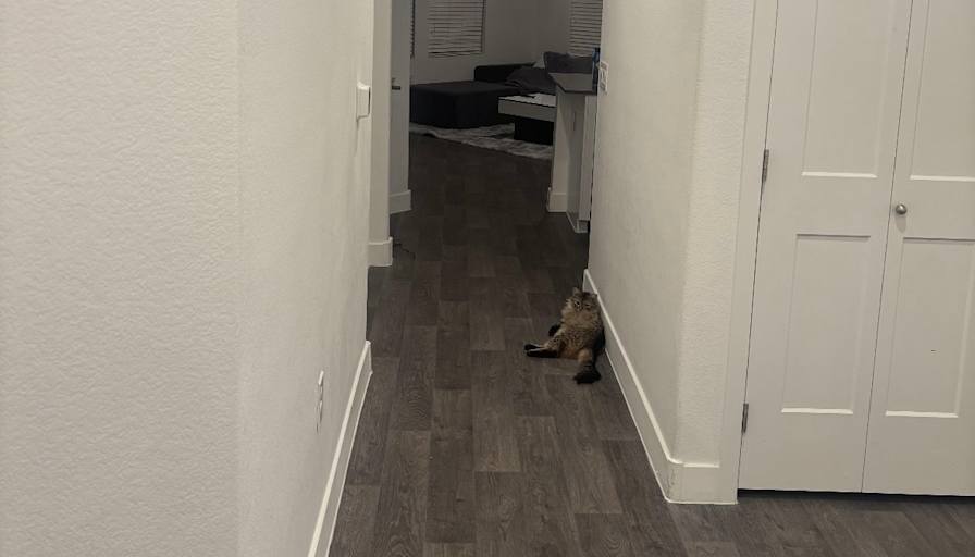 Raymond's room