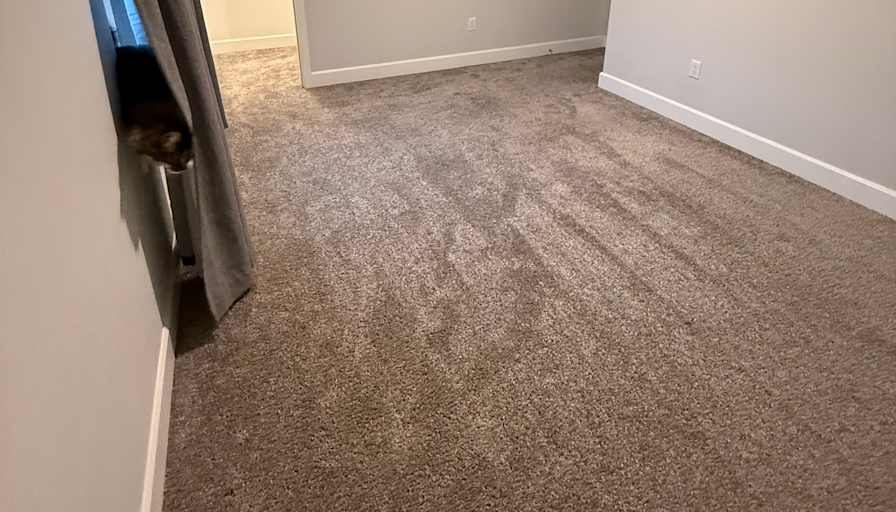 Ashley strange's room
