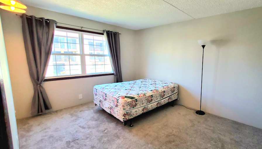 Stone's room