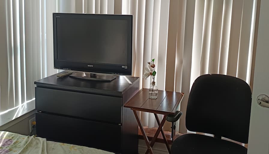 Dr. Hoda Hassan's room