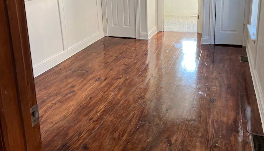 Federal Hill room for rent's room