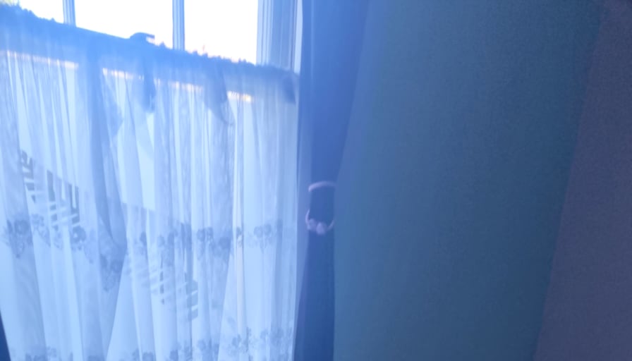 Dallas Stirling's room