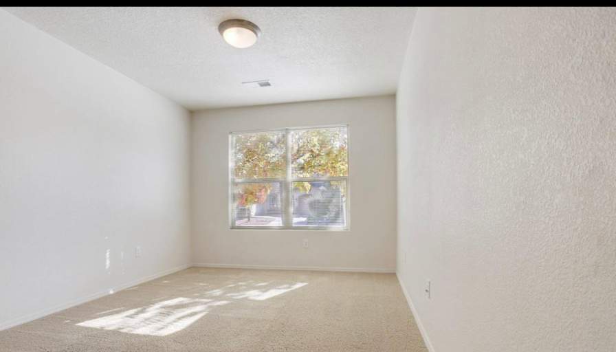 Dominic's room