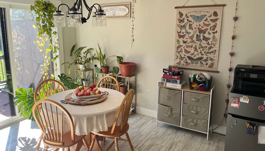 Ainsley Stapleton's room