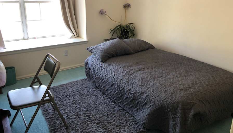 Bee's room