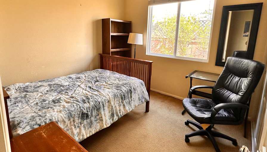 Sholeh's room