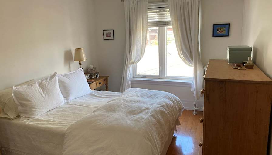 Ant's room