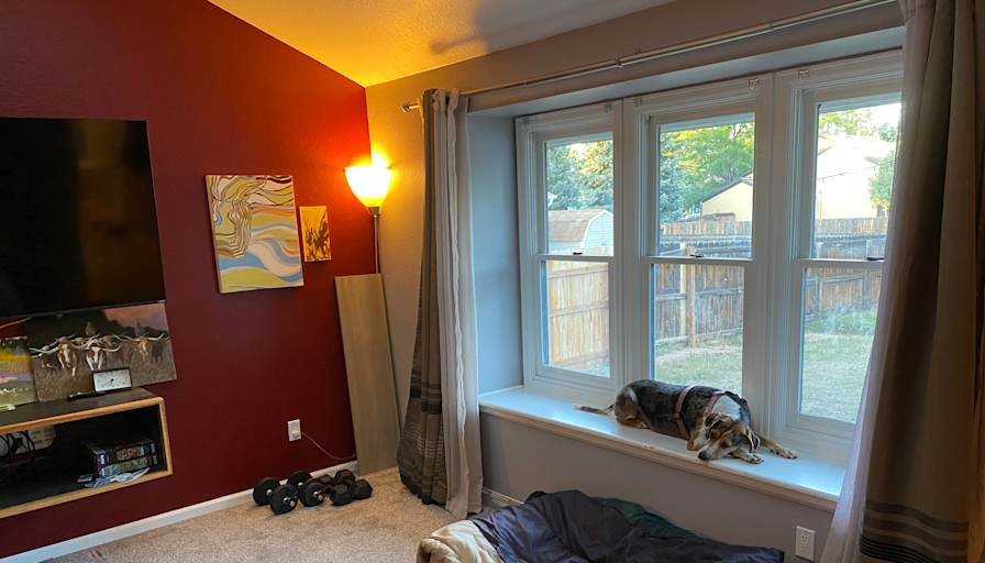 Bradyhart1's room