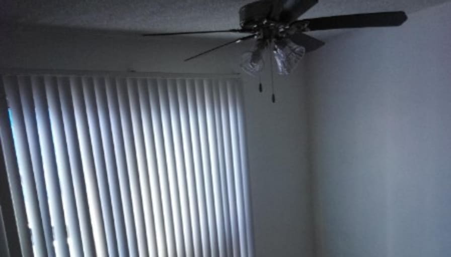 Pepe's room