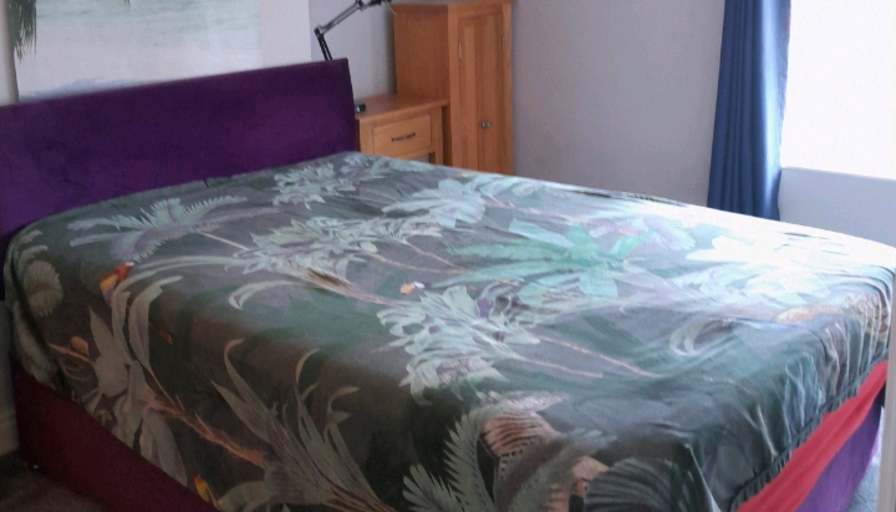 Liz's room