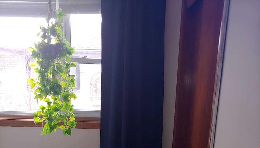 Anonymous's room