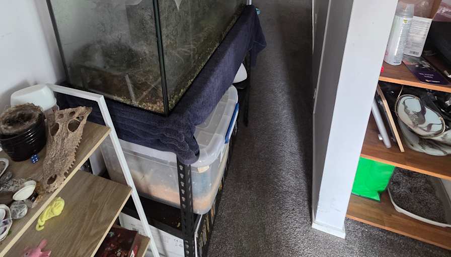 Liam's room