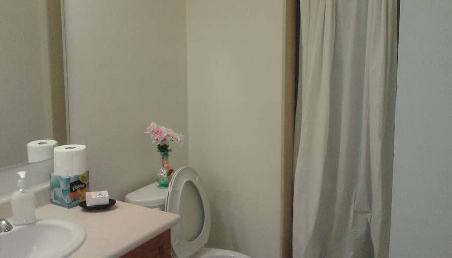 Shaheen's room