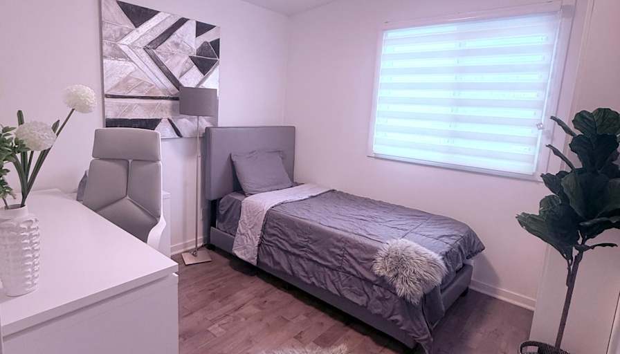 Majid's room