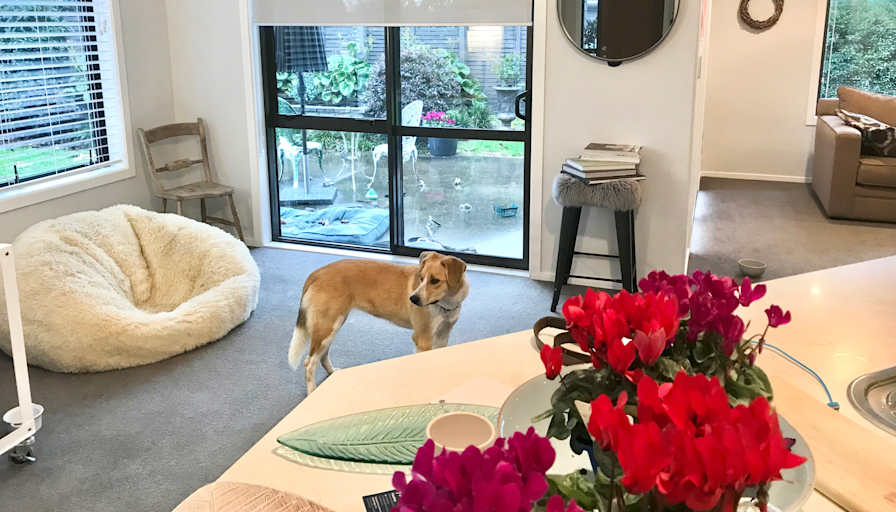 Deb's room