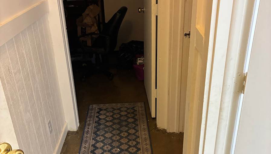 Kelley's room