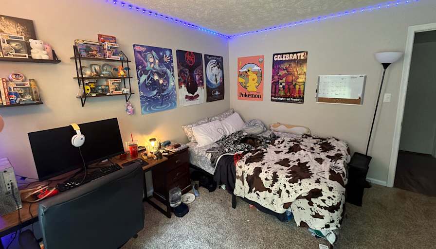 sebastian's room