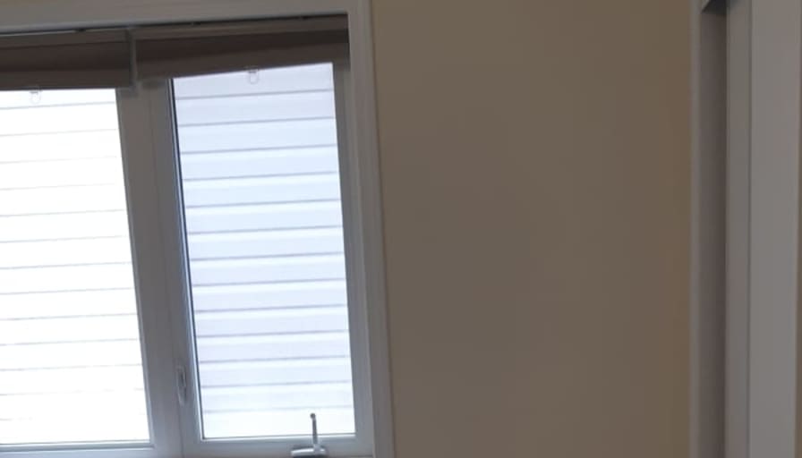 Shaheen's room