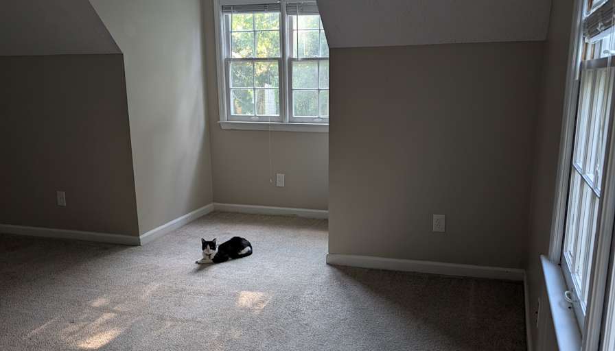 Ezra's room