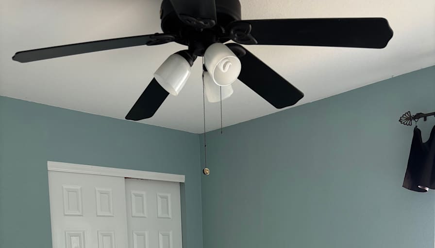 David's room