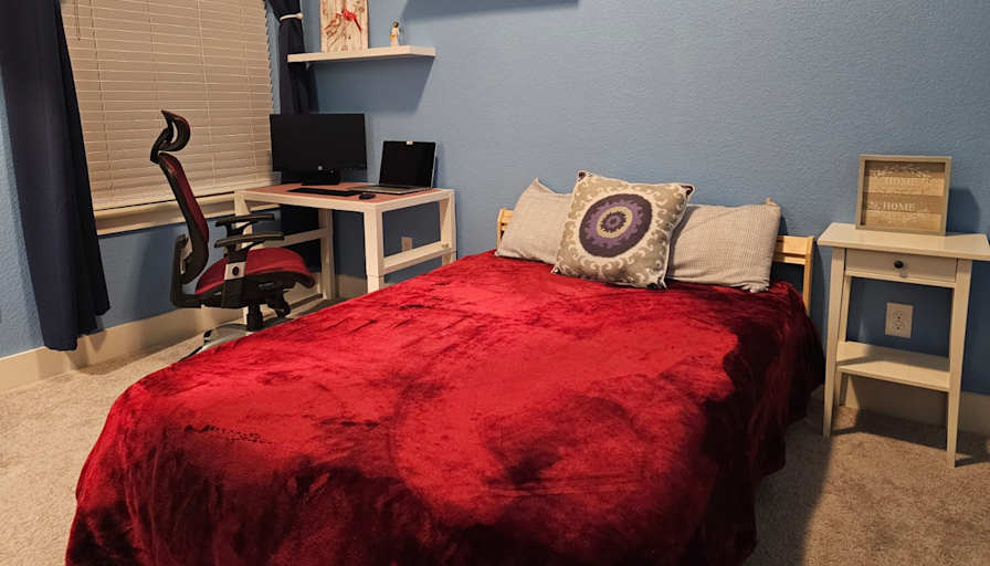 Ludmila's room