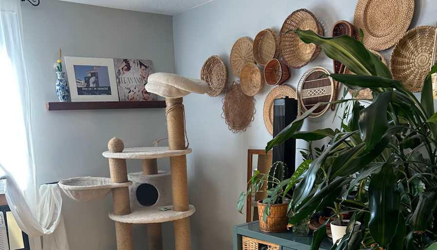 Brit Campbell's room