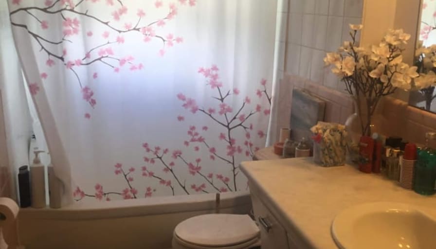 Shaelynn's room