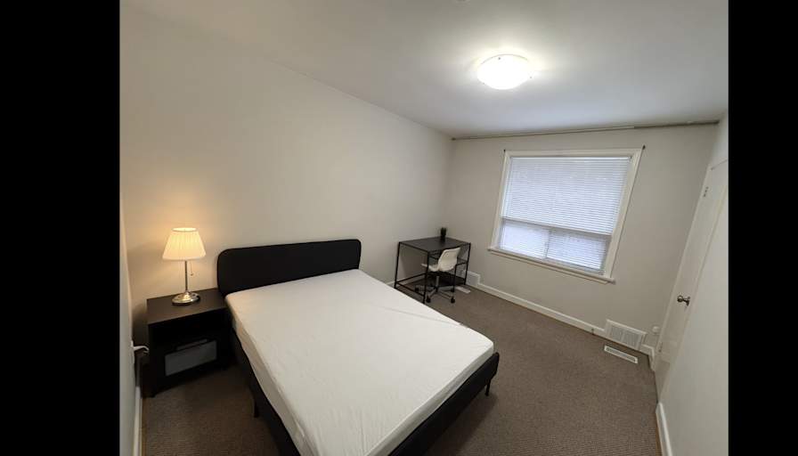Lyubo Rave's room