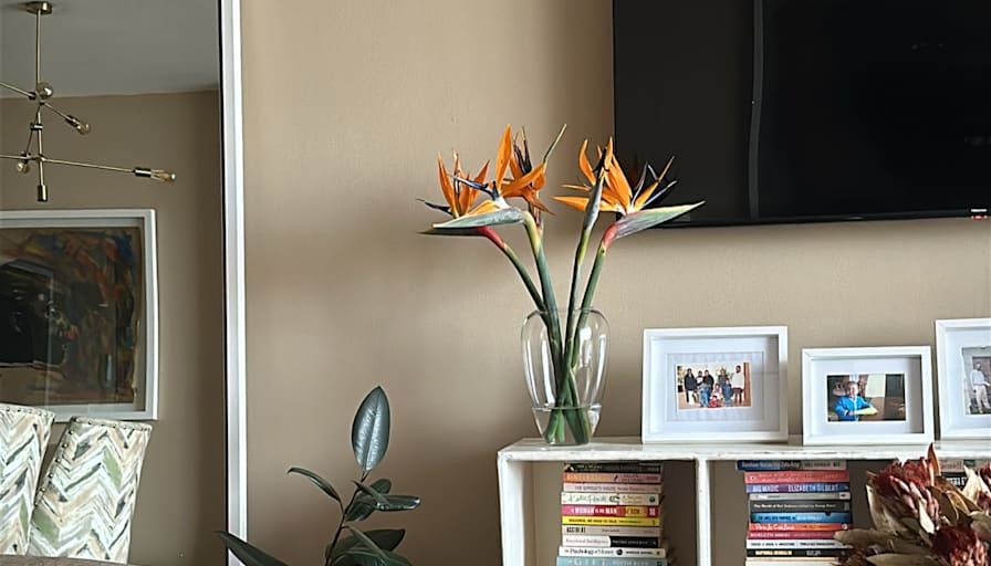 Melo's room
