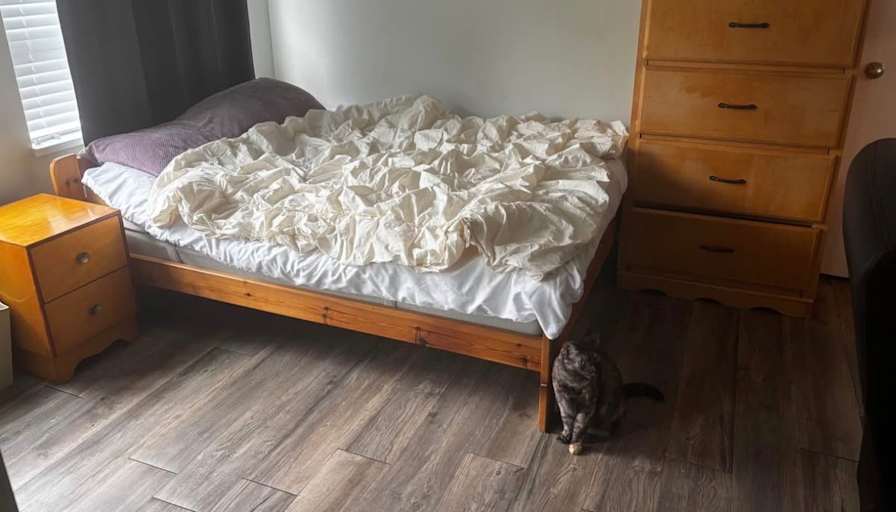 Amy's room