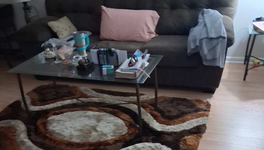 Mary's room