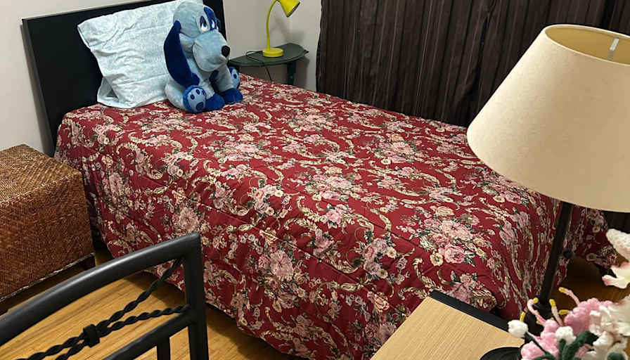Zon's room