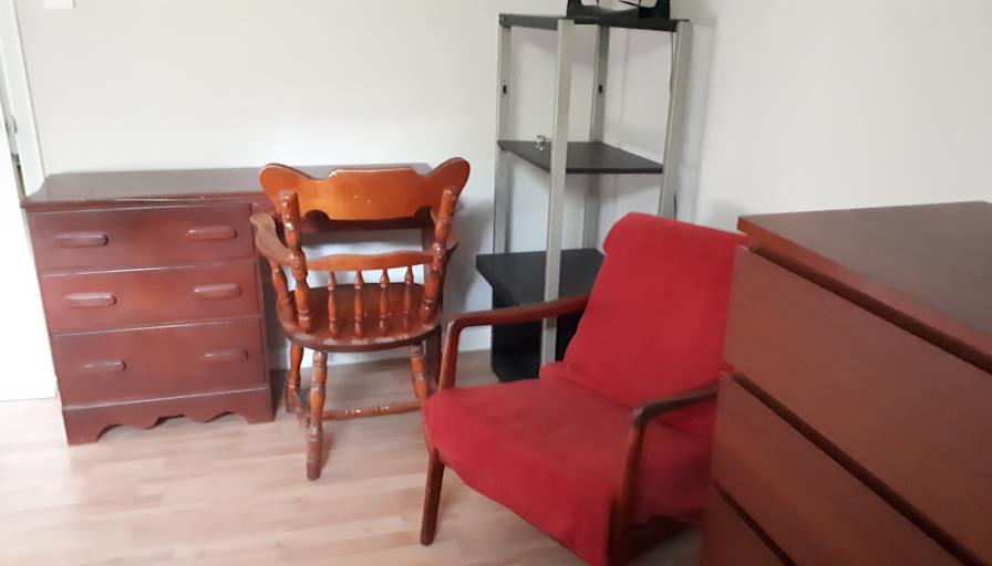 Cat's room