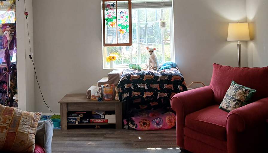 Summer's room