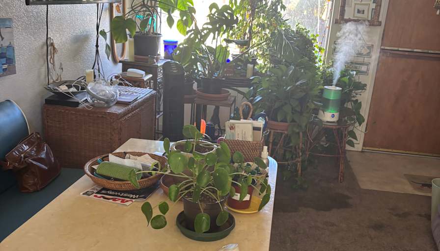 Carol's room