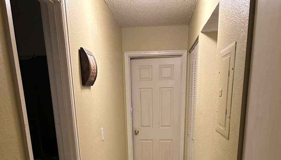 Todd's room