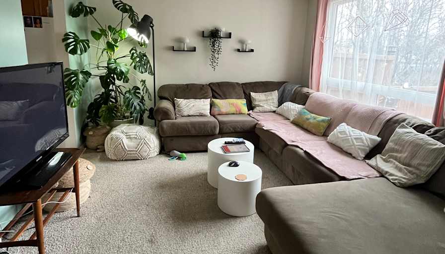 Luisa Williams's room