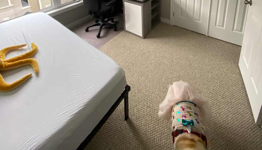 Drew's room
