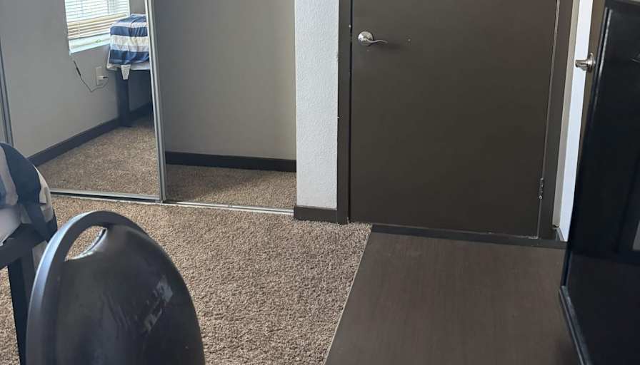 Rami's room