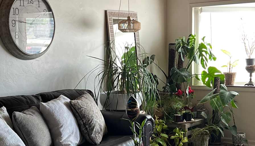 James's room