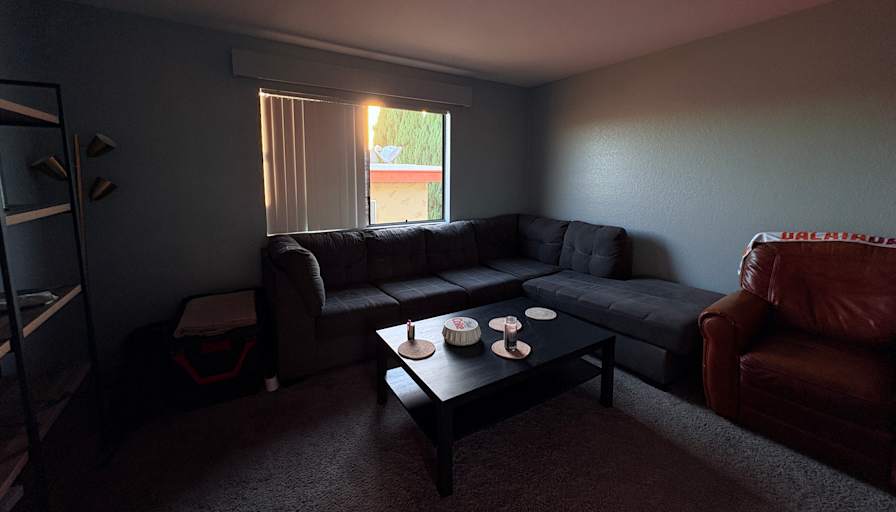 Yaser Kaya's room