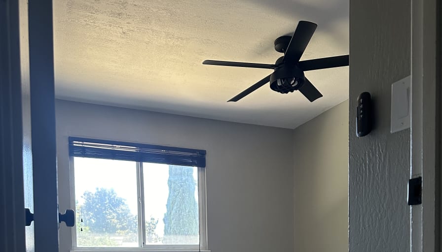 Stephanie's room
