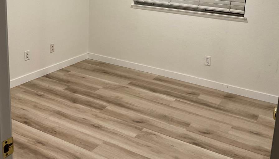 Stella Park's room