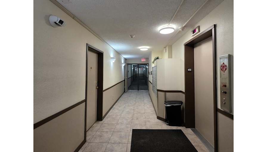 Todd's room