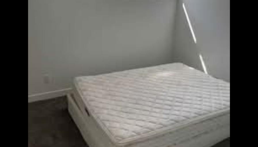 Mandy Luo's room