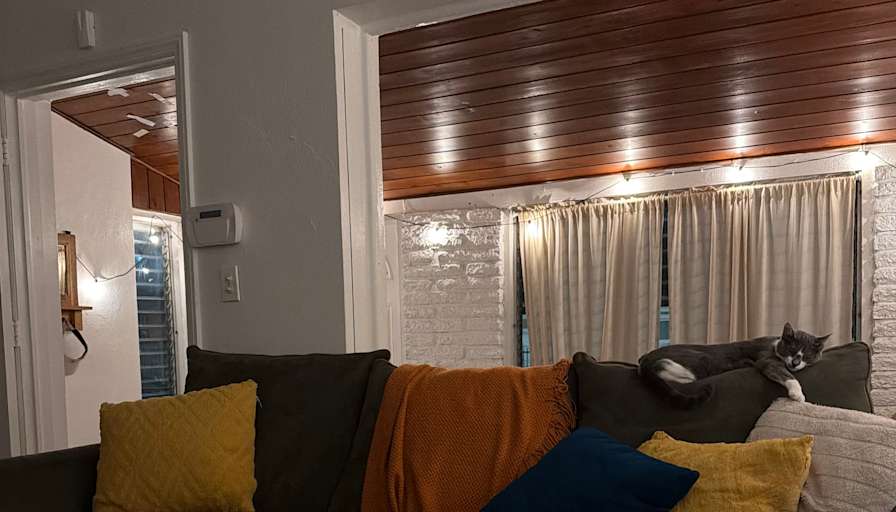 Megan's room