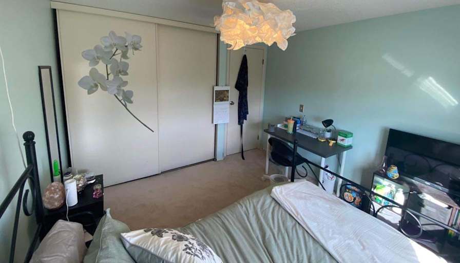 Andrew Finch's room