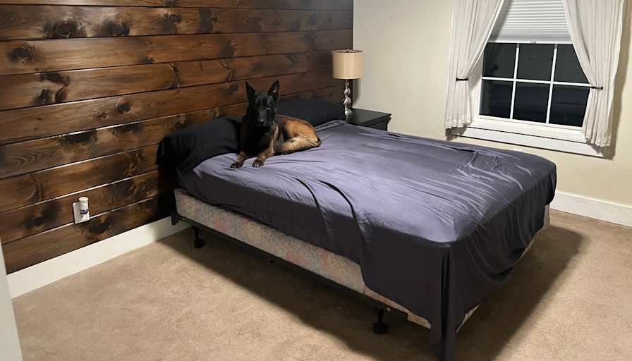 Richard's room