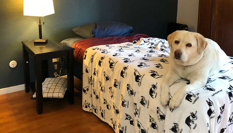 Brian's room